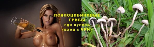 ПСИЛОЦИБИНОВЫЕ ГРИБЫ Бородино