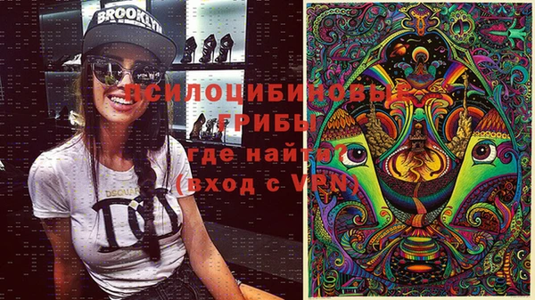 ПСИЛОЦИБИНОВЫЕ ГРИБЫ Бородино