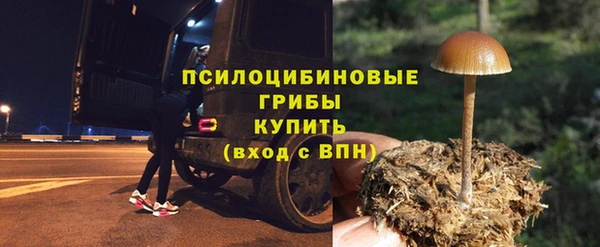 ПСИЛОЦИБИНОВЫЕ ГРИБЫ Бородино
