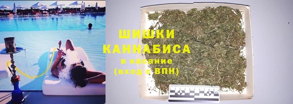 ПСИЛОЦИБИНОВЫЕ ГРИБЫ Бронницы