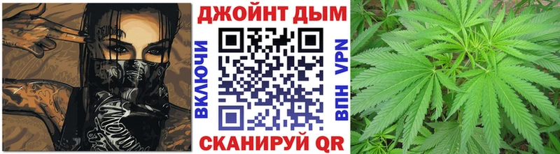 Бошки Шишки сатива Лагань